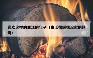 喜欢这样的生活的句子（生活很暖很治愈的短句）