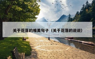关于花落的唯美句子（关于花落的说说）