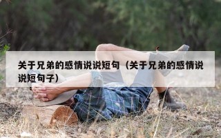 关于兄弟的感情说说短句（关于兄弟的感情说说短句子）