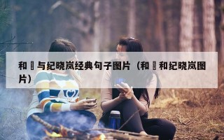 和珅与纪晓岚经典句子图片（和珅和纪晓岚图片）