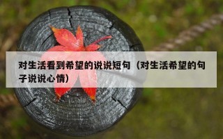 对生活看到希望的说说短句（对生活希望的句子说说心情）