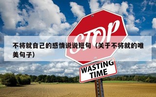 不将就自己的感情说说短句（关于不将就的唯美句子）