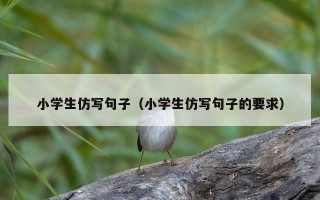 小学生仿写句子（小学生仿写句子的要求）