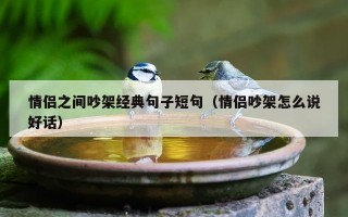 情侣之间吵架经典句子短句（情侣吵架怎么说好话）