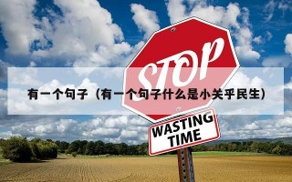 有一个句子（有一个句子什么是小关乎民生）