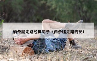 俩条腿走路经典句子（两条腿走路的梗）