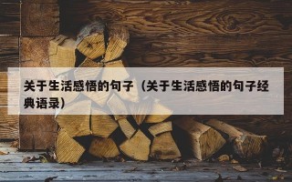 关于生活感悟的句子（关于生活感悟的句子经典语录）