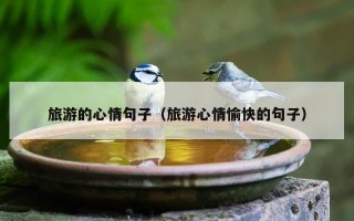 旅游的心情句子（旅游心情愉快的句子）