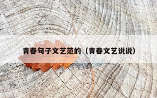 青春句子文艺范的（青春文艺说说）