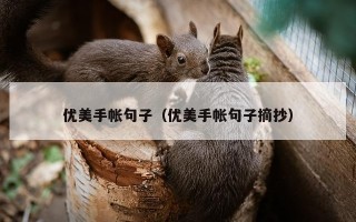 优美手帐句子（优美手帐句子摘抄）