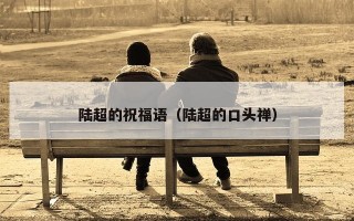 陆超的祝福语（陆超的口头禅）