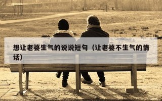 想让老婆生气的说说短句（让老婆不生气的情话）