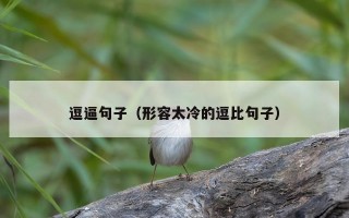 逗逼句子（形容太冷的逗比句子）