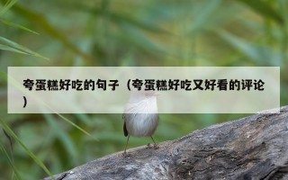 夸蛋糕好吃的句子（夸蛋糕好吃又好看的评论）