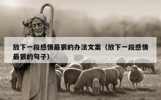 放下一段感情最狠的办法文案（放下一段感情最狠的句子）