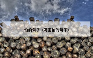 怕的句子（写害怕的句子）