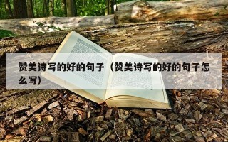 赞美诗写的好的句子（赞美诗写的好的句子怎么写）