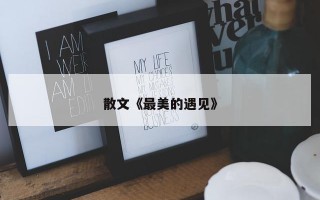 散文《最美的遇见》 散文《最美的遇见》