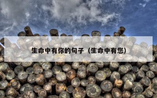 生命中有你的句子（生命中有您）