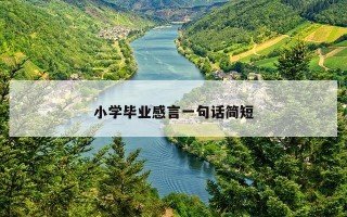 小学毕业感言一句话简短 小学毕业感言一句话简短