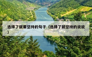 选择了就要坚持的句子（选择了就坚持的说说）