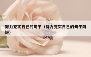 努力充实自己的句子（努力充实自己的句子简短）