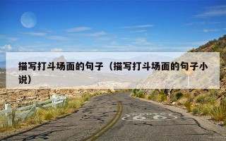 描写打斗场面的句子（描写打斗场面的句子小说）