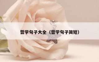 哲学句子大全（哲学句子简短）