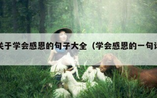关于学会感恩的句子大全（学会感恩的一句话）