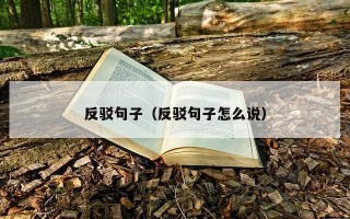 反驳句子（反驳句子怎么说）