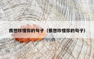 我想珍惜你的句子（很想珍惜你的句子）