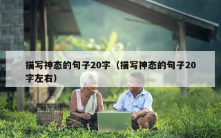 描写神态的句子20字（描写神态的句子20字左右）