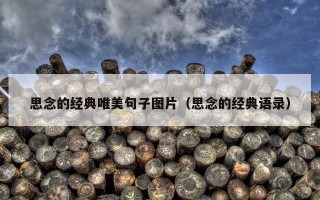 思念的经典唯美句子图片（思念的经典语录）