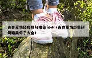 青春爱情经典短句唯美句子（青春爱情经典短句唯美句子大全）
