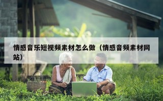 情感音乐短视频素材怎么做（情感音频素材网站）