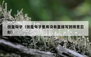 但是句子（但是句子里用没有直接写到得意忘形）