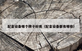 配音设备哪个牌子好用（配音设备都有哪些）