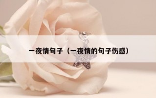 一夜情句子（一夜情的句子伤感）