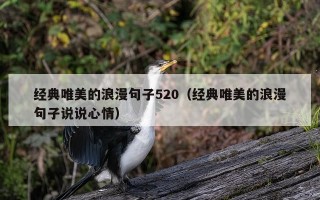 经典唯美的浪漫句子520（经典唯美的浪漫句子说说心情）