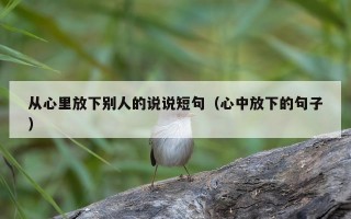 从心里放下别人的说说短句（心中放下的句子）