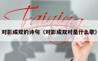 对影成双的诗句（对影成双对是什么歌）