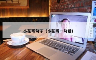 小花写句子（小花写一句话）