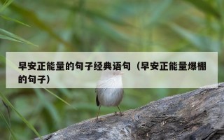 早安正能量的句子经典语句（早安正能量爆棚的句子）