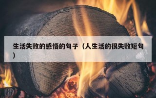 生活失败的感悟的句子（人生活的很失败短句）