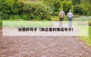 说爱的句子（表达爱的情话句子）