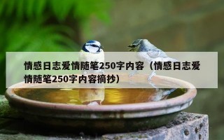 情感日志爱情随笔250字内容（情感日志爱情随笔250字内容摘抄）