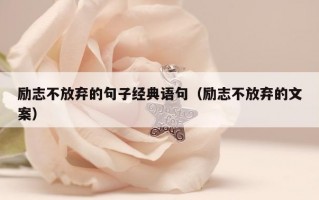 励志不放弃的句子经典语句（励志不放弃的文案）