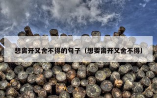 想离开又舍不得的句子（想要离开又舍不得）