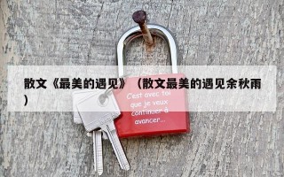 散文《最美的遇见》（散文最美的遇见余秋雨）