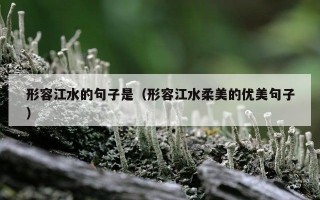 形容江水的句子是（形容江水柔美的优美句子）